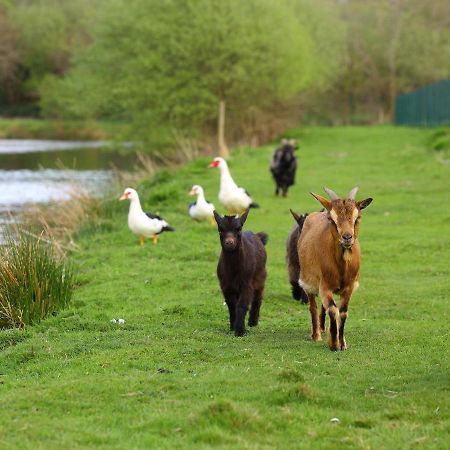 Gites De La Ferme De Vur Ven Жувьё Экстерьер фото